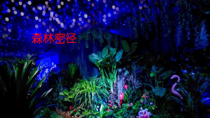 试镜机会
